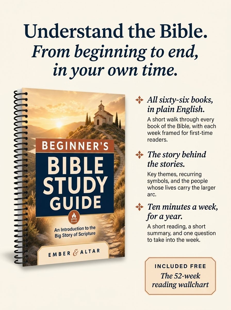 Every book of the Bible in plain English
